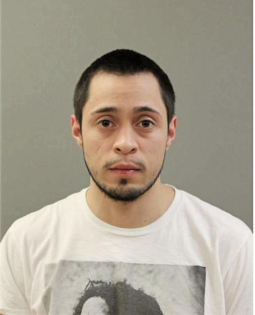 RICARDO PONCE, Cook County, Illinois