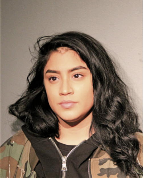 KENDALL ROMAN, Cook County, Illinois