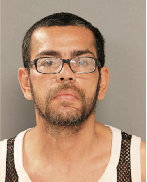 LUIS E TORRES, Cook County, Illinois