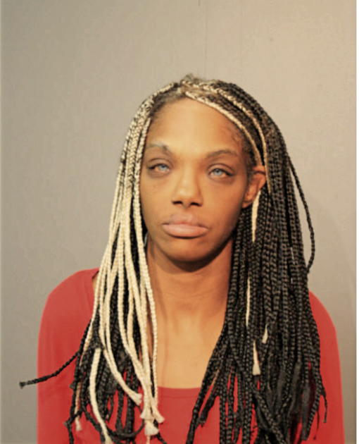 JANICE J ADAMS, Cook County, Illinois