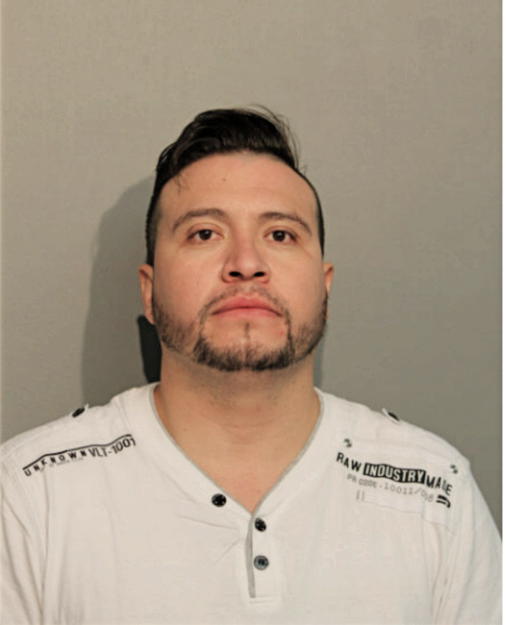 JOSE O ALANIS, Cook County, Illinois