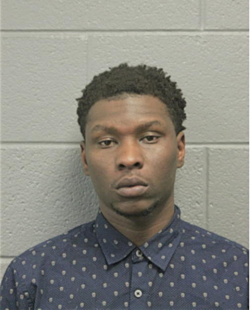 DAVID J ALLEN, Cook County, Illinois