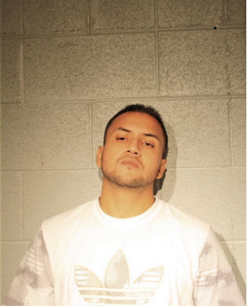 RONALD F AMADOR, Cook County, Illinois