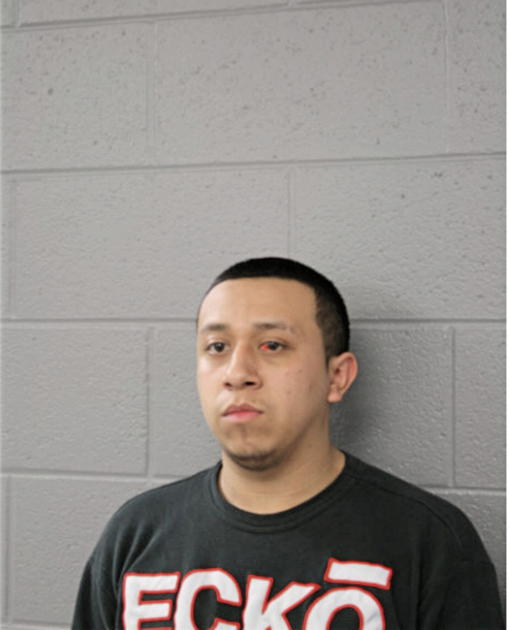 INOSENTE (NMI) BAHENA, Cook County, Illinois