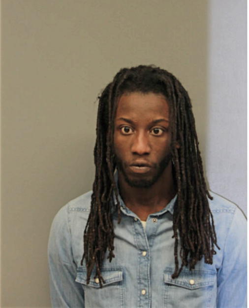 TERRELLE J BEAL, Cook County, Illinois