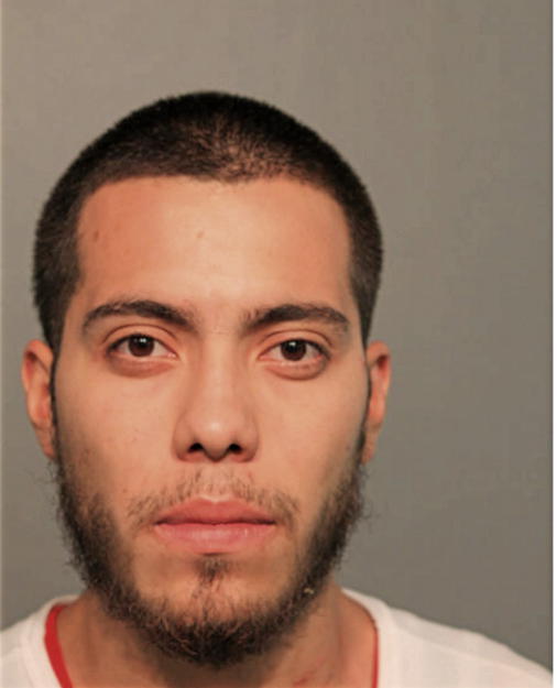 BRANDON BOLANOS, Cook County, Illinois