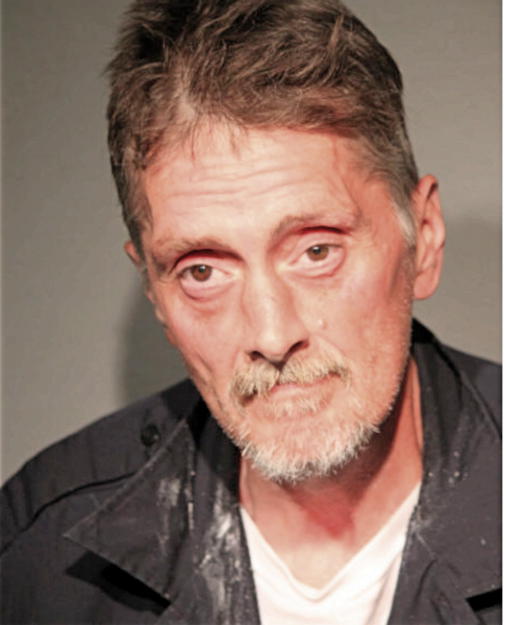 WILLIAM E BOUZER, Cook County, Illinois