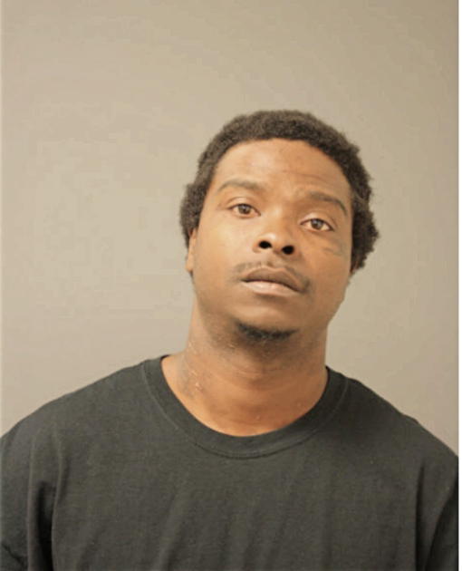ANTHONY N BROWN, Cook County, Illinois