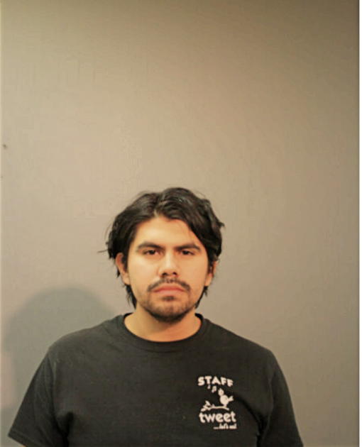 BRAULIO F CABRAL, Cook County, Illinois