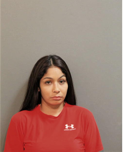 SARAH L CASILLAS, Cook County, Illinois