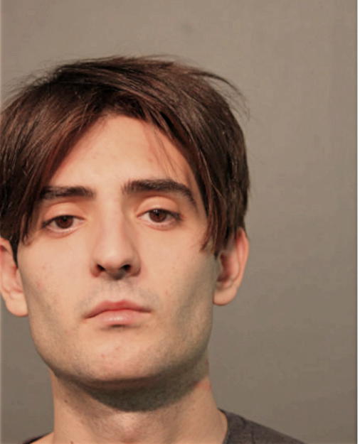 MICHAEL J DEGRANCE, Cook County, Illinois