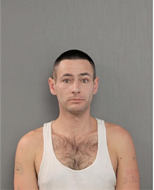 MICHAEL J DIMASO, Cook County, Illinois