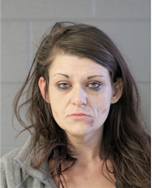 CATHERINE A DOLEHIDE, Cook County, Illinois