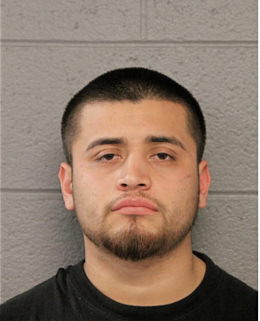 LUIS C DUARTE, Cook County, Illinois