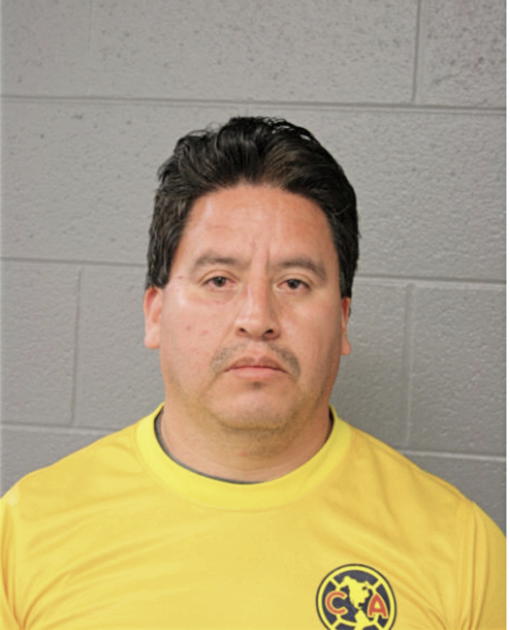RICARDO M GALVAN, Cook County, Illinois