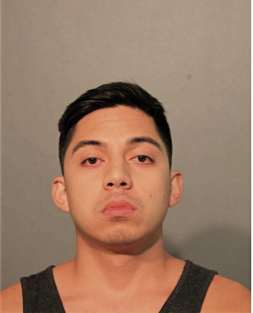 STEVE F GAUDIANO, Cook County, Illinois