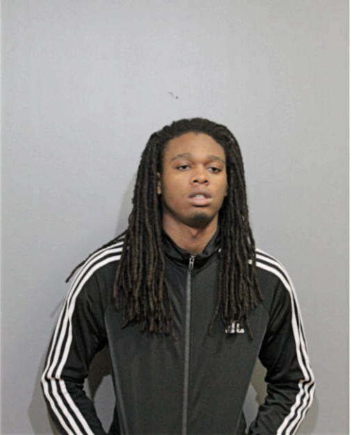 DARIELLE D GOLDEN, Cook County, Illinois