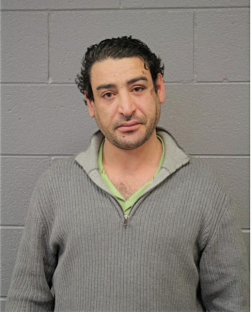 HANI M HAYEK, Cook County, Illinois