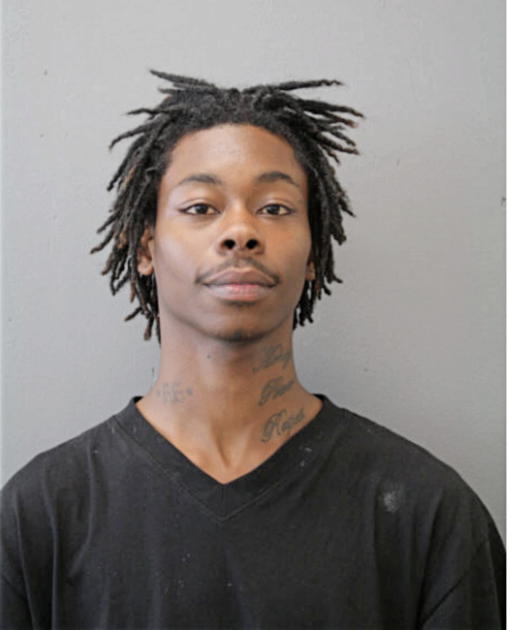 DAVID D HAYES, Cook County, Illinois