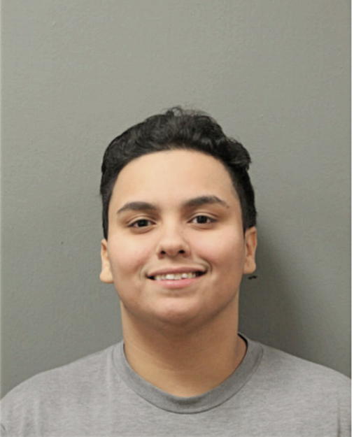 JOSLYN E HERNANDEZ, Cook County, Illinois