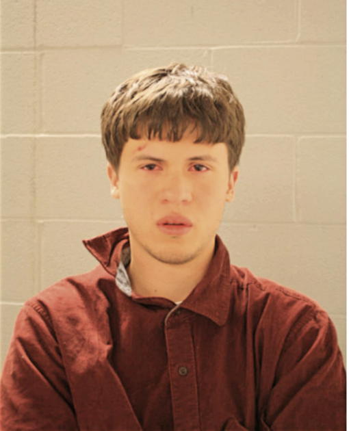WALTER S HEWAK, Cook County, Illinois