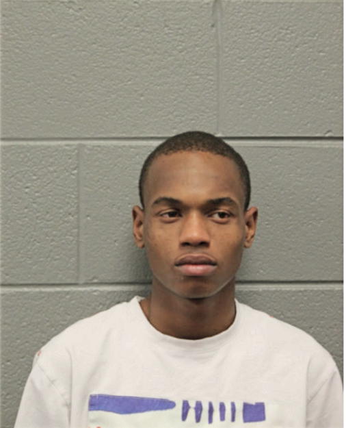AARON D JOHNSON, Cook County, Illinois