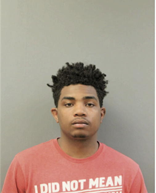 DEVON L KINSEY, Cook County, Illinois