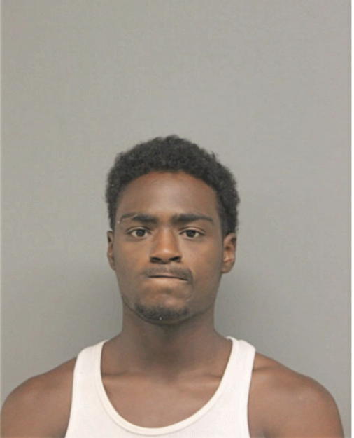 CARLOS O LEWIS, Cook County, Illinois