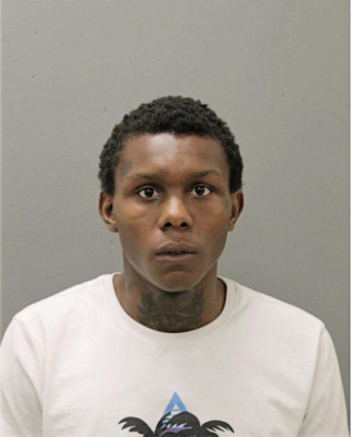 DAVENCHIA LEWIS, Cook County, Illinois