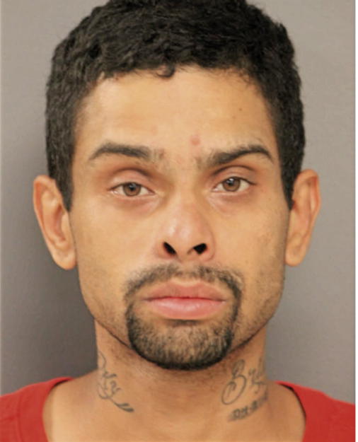 PEDRO L MORALES, Cook County, Illinois