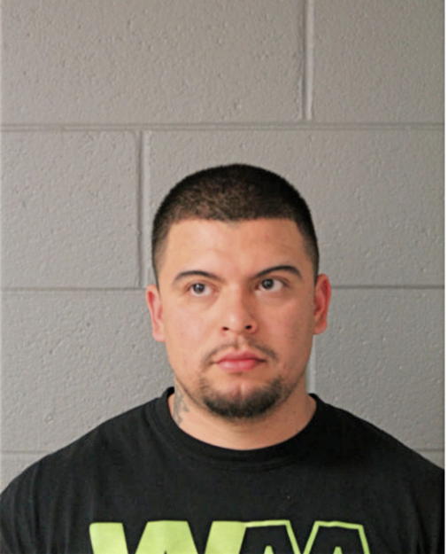 VINCENT M PALACIO, Cook County, Illinois