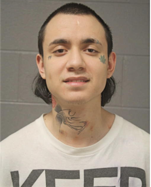DAVID PEREZ, Cook County, Illinois