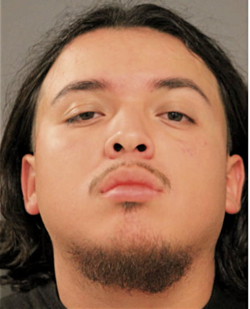 MARTELL R RAMIREZ, Cook County, Illinois