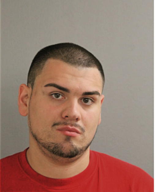 ANGEL J RODRIGUEZ, Cook County, Illinois