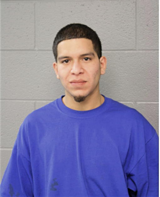 ANGEL ROMAN, Cook County, Illinois
