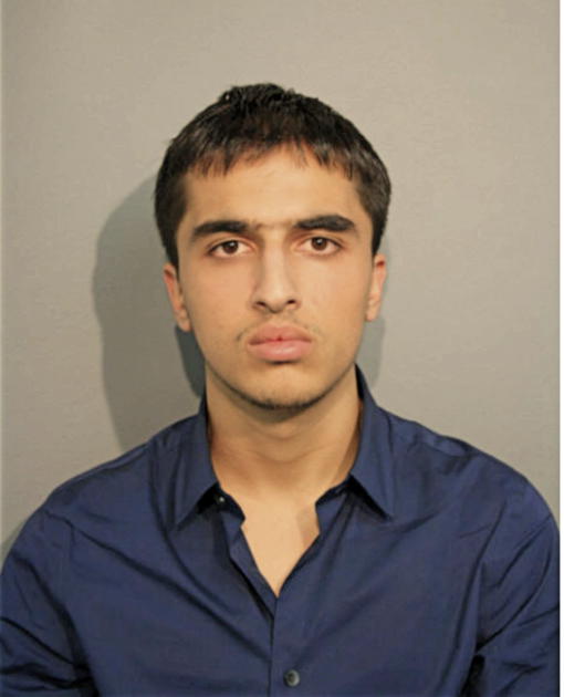 ARMAN SHOKOUHI, Cook County, Illinois