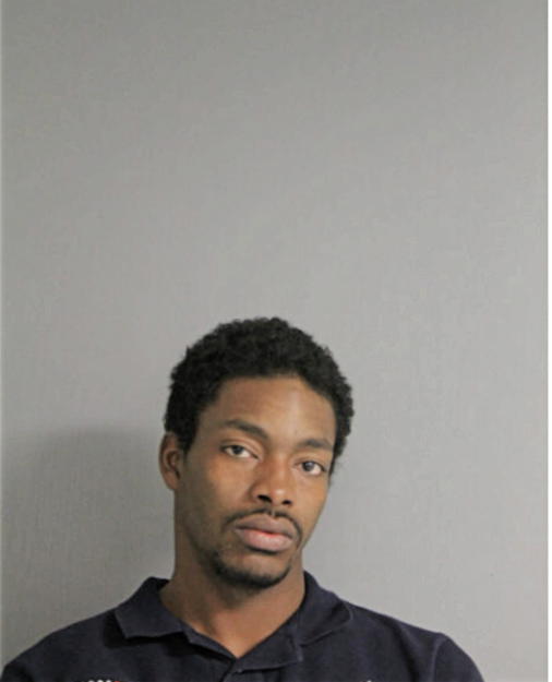 LEWIS T SPIVEY, Cook County, Illinois