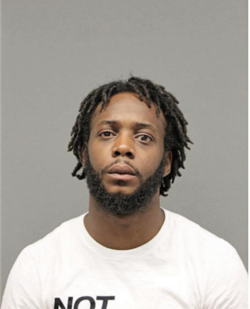MICHAEL A STEWRD, Cook County, Illinois