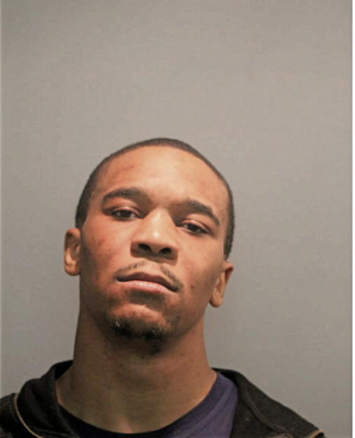 HAYES B WHITE, Cook County, Illinois