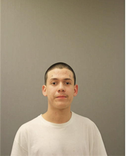 JOSE A ANGUIANO, Cook County, Illinois