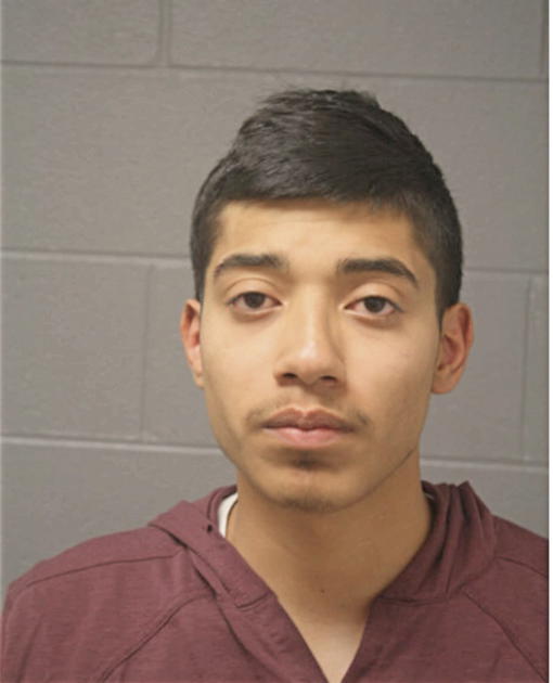 GERARDO R ARROYO, Cook County, Illinois
