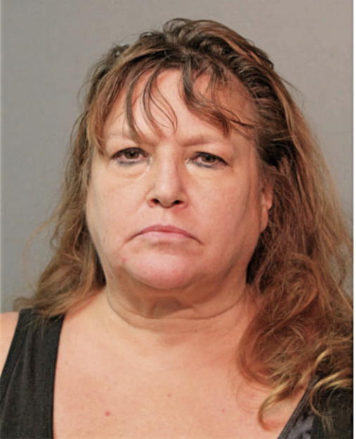 DIANE L BALICKI, Cook County, Illinois