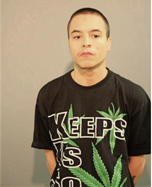 ERIC A CASILLAS, Cook County, Illinois
