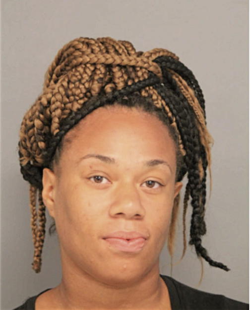 BRITTANY M CONNER, Cook County, Illinois