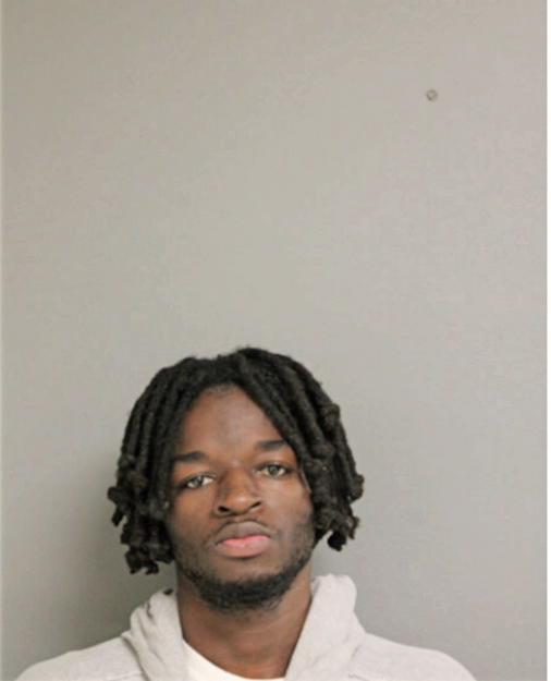 NOAH L DINWIDDIE, Cook County, Illinois