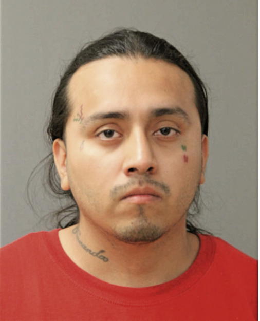 SILAS DOMINGUEZ, Cook County, Illinois