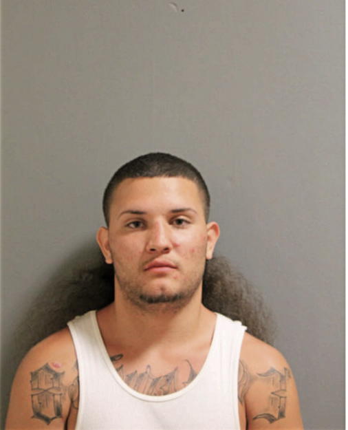 DANIEL J FLORES, Cook County, Illinois