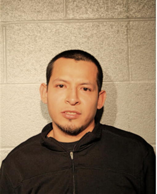 JOAQUIN E GARCIA-VARGAS, Cook County, Illinois