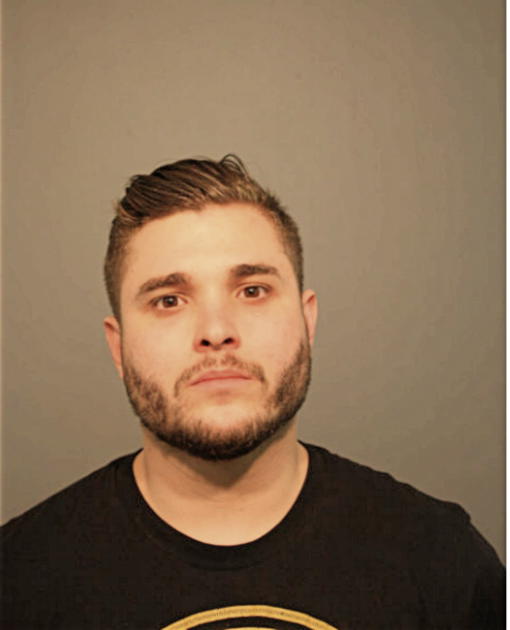 ARIC I GOLDFREED, Cook County, Illinois