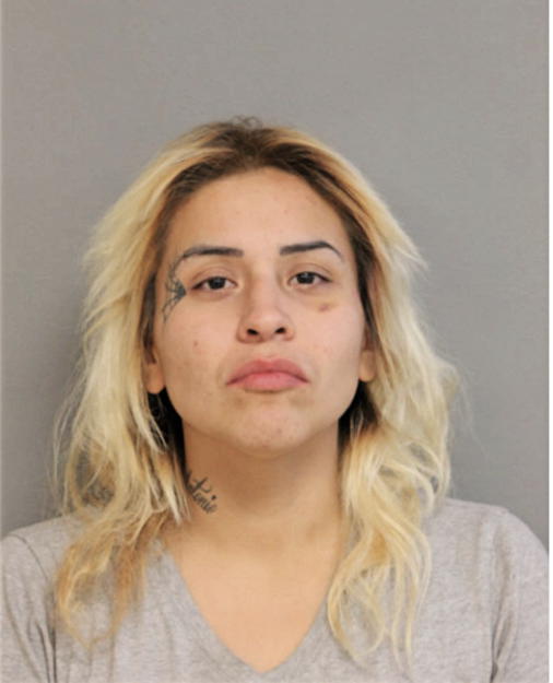 ROSARIO GONZALEZ, Cook County, Illinois